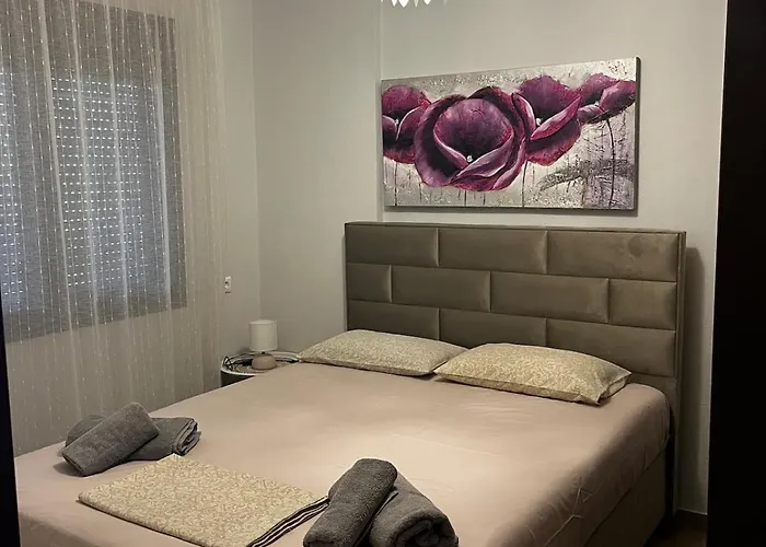 Vilă Veta's House *